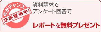 ���|�[�g�����v���[���g